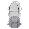 Junction Box Light Fixture; Plastic Coated Glass Globe; Wire Guard
