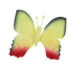 O'Creme Gumpaste Butterfly, Yellow/Green - Set of 12