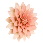 O'Creme Peach Dahlia Gumpaste Flowers - Set of 3