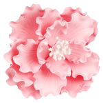 O'Creme Pink Peony Gumpaste Flowers - Set of 3