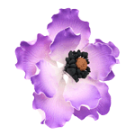 O'Creme Purple Anemone Gumpaste Flowers, Set of 6