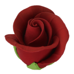 O'Creme Red Garden Rose Gumpaste Flowers, Set of 12