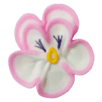 O'Creme White & Pink Pansy Royal Icing Flowers, Set of 16