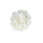 White Small Carnation Gumpaste Flowers - Set of 6