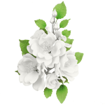 O'Creme White Dogrose Gumpaste Flower Spray