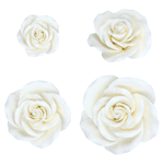 O'Creme White Garden Rose Gumpaste Flowers - Set of 8