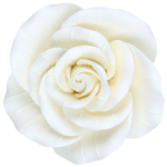 O'Creme White Garden Rose Gumpaste Flowers, 3