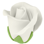 O'Creme White Garden Rose Gumpaste Flowers, Set of 12