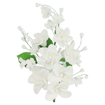 O'Creme White Plumeria Spray Gumpaste Flowers