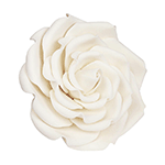 O'Creme White Rebecca Rose Gumpaste Flowers - Set of 3