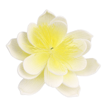 O'Creme White with Yellow Waterlily Gumpaste Flowers - Set of 3