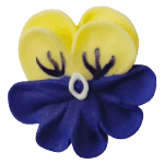 O'Creme Yellow & Blue Pansy Royal Icing Flowers, Set of 16