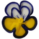 O'Creme Yellow, White & Blue Pansy Royal Icing Flowers, Set of 16