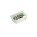 Packnwood Eco Rec Rectangular Sugarcane Salad Bowls, 17 oz, 6.8