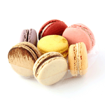 Packnwood Round Insert for 7 Macarons, 5.1