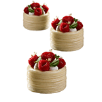 Pavoni Pavoflex PX43128 LINEA Silicone Mold, 12 Cavities