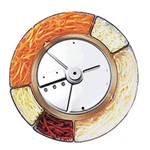 Robot Coupe 2 x 2 mm (5/64") Julienne disc for R2 machine