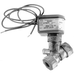 Steam Solenoid Valve; 3/8"; 120V