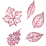 Sweet Stamp Lovely Leaves Elements