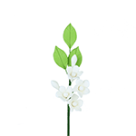 White Asian Stephanotis Fillers Gumpaste Flowers - Set of 3