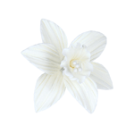 White Daffodil Gumpaste Flowers - Set of 6