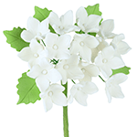 White Hydrangeas with Leaves Gumpaste Flowers - Set of 3