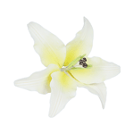 White with Yellow Spray Stargazer Lily Gumpaste Flowers - Set of 3