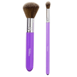 Wilton 2-Piece Dusting Brush Set 1907-1351